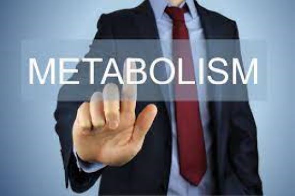 improves-metabolism-for-weight-loss